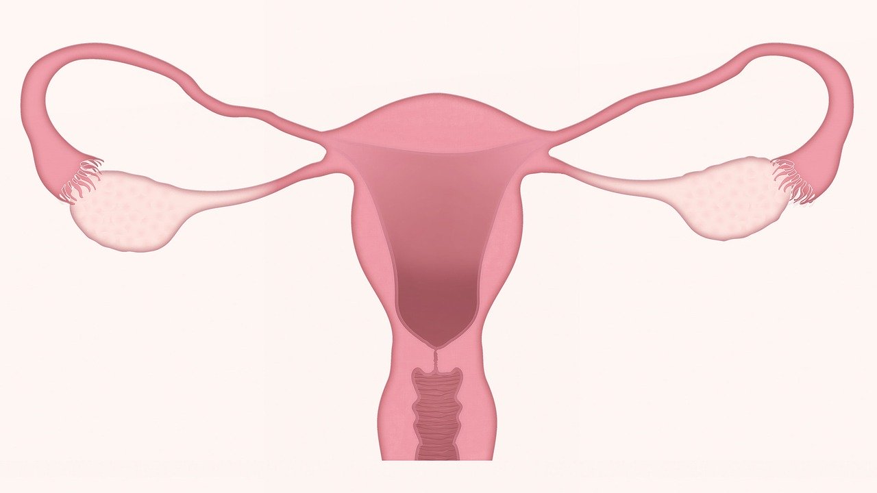 Leczenie endometriozy